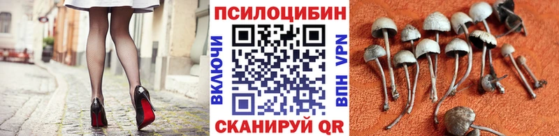 Псилоцибиновые грибы мухоморы  как найти закладки  Заринск 