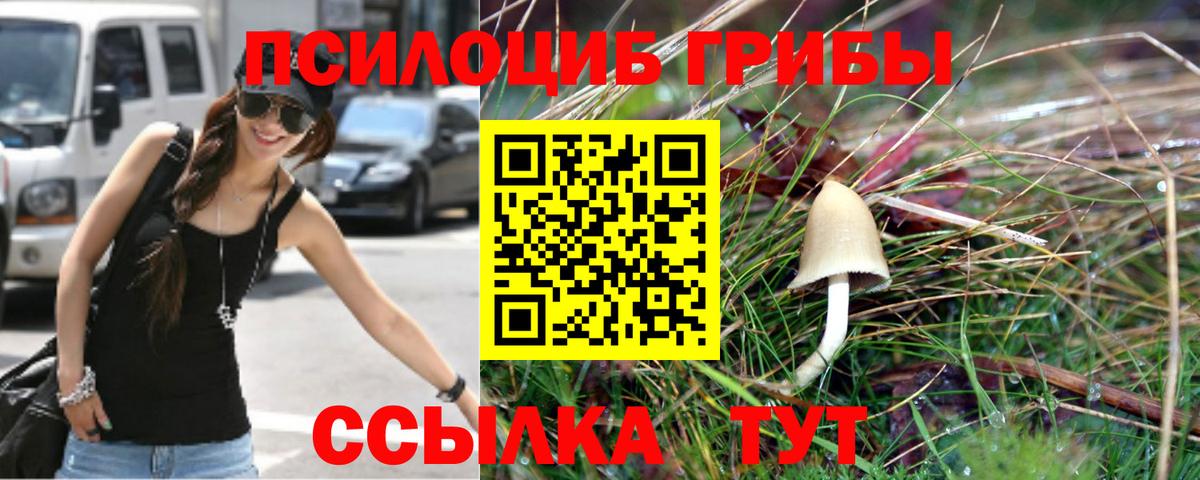 Заринск  Псилоцибиновые грибы ЛСД  Вход с VPN 