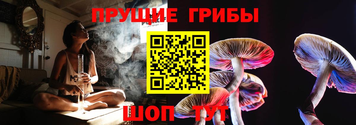 Галлюциногенные грибы GOLDEN TEACHER Заринск